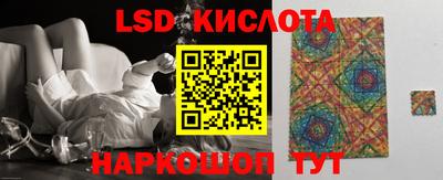 прущие грибы Долгопрудный