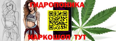 прущие грибы Долгопрудный