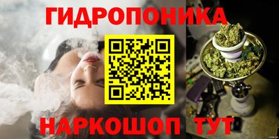 прущие грибы Долгопрудный