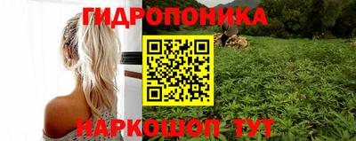 крисы Добрянка