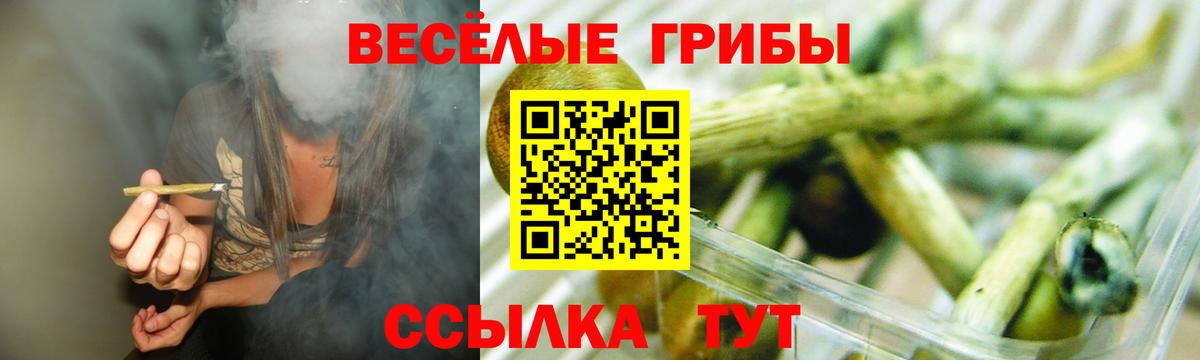 Галлюциногенные грибы Psilocybe  Вход с VPN  Новороссийск  Псилоцибиновые грибы Magic Shrooms 
